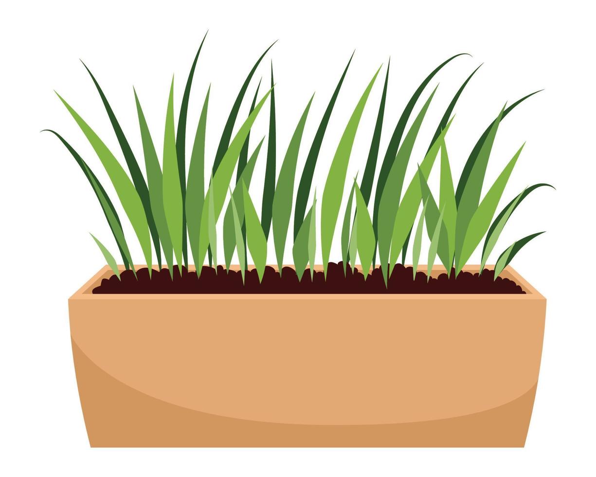 plant in square pot vector