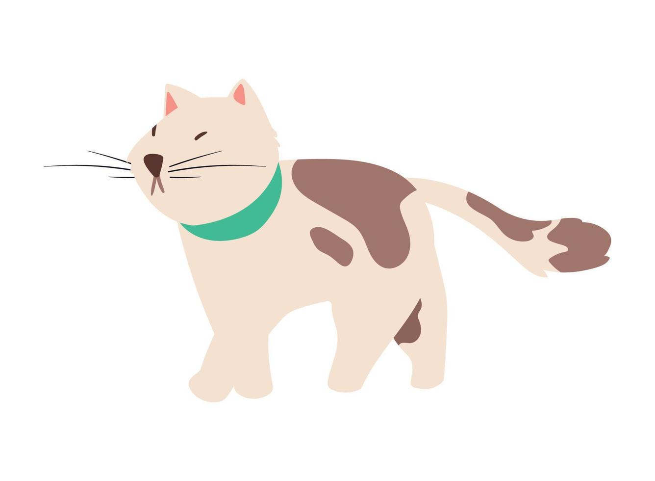 white and brown cat vector