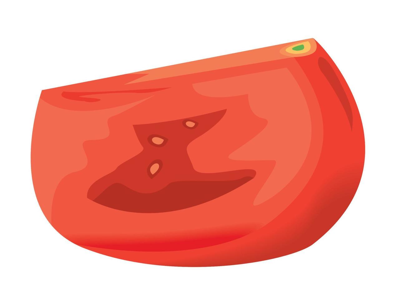 fresh tomato half vegetable vector