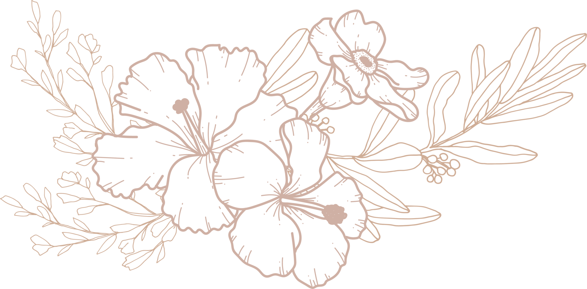 Flower bouquet line art 10312915 PNG