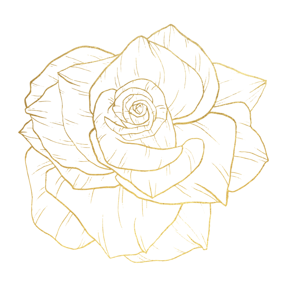 flor rosa con arte lineal dorado png