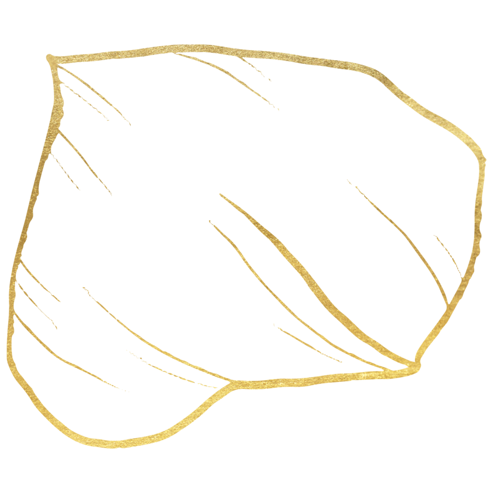 Rose Flower with gold line art png