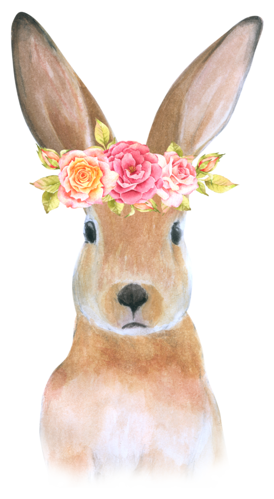 Rabbit Easter animal with flower watercolor png