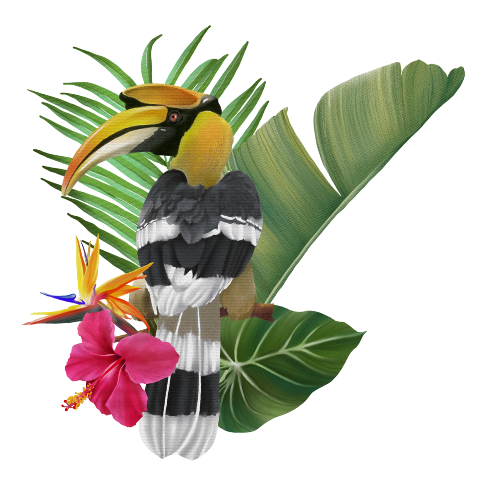 Tropical composition with bird watercolor hand paint png