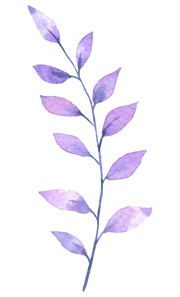 Foliage watercolor, Beautiful leaf watercolor element png