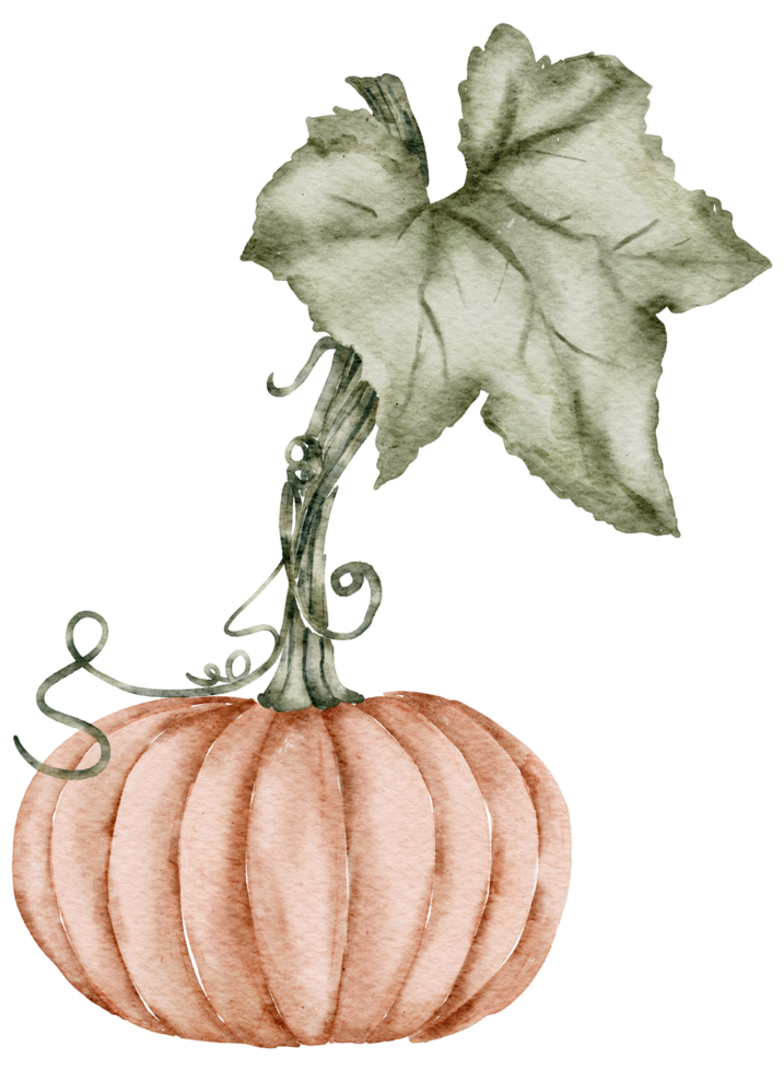 Thanksgiving hösten akvarell clipart png