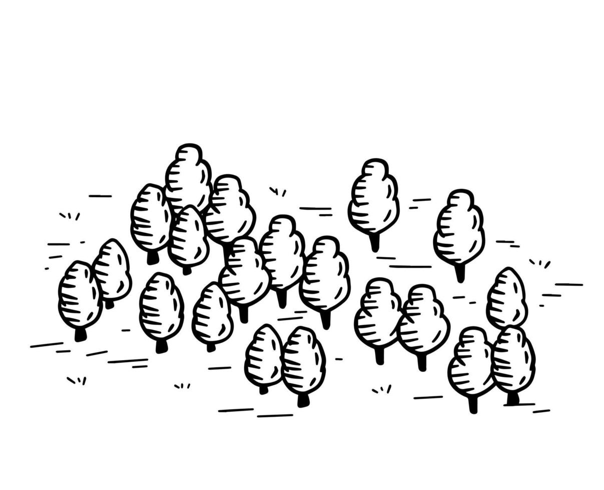 esbozar bosque para mapa. árboles dibujados a mano. área del parque paisaje natural. garabato, contorno, caricatura vector