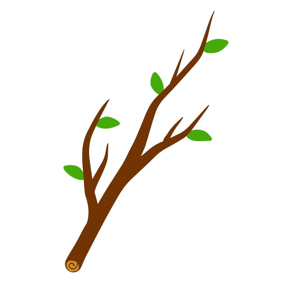 rama de árbol con hoja en la ilustración de fondo blanco. elemento vegetal de madera y naturaleza. ilustración plana simple vector