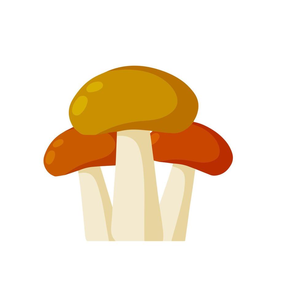 A large mushroom with a brown cap. Natural cep. Food ingredient. Autumn harvest. vector