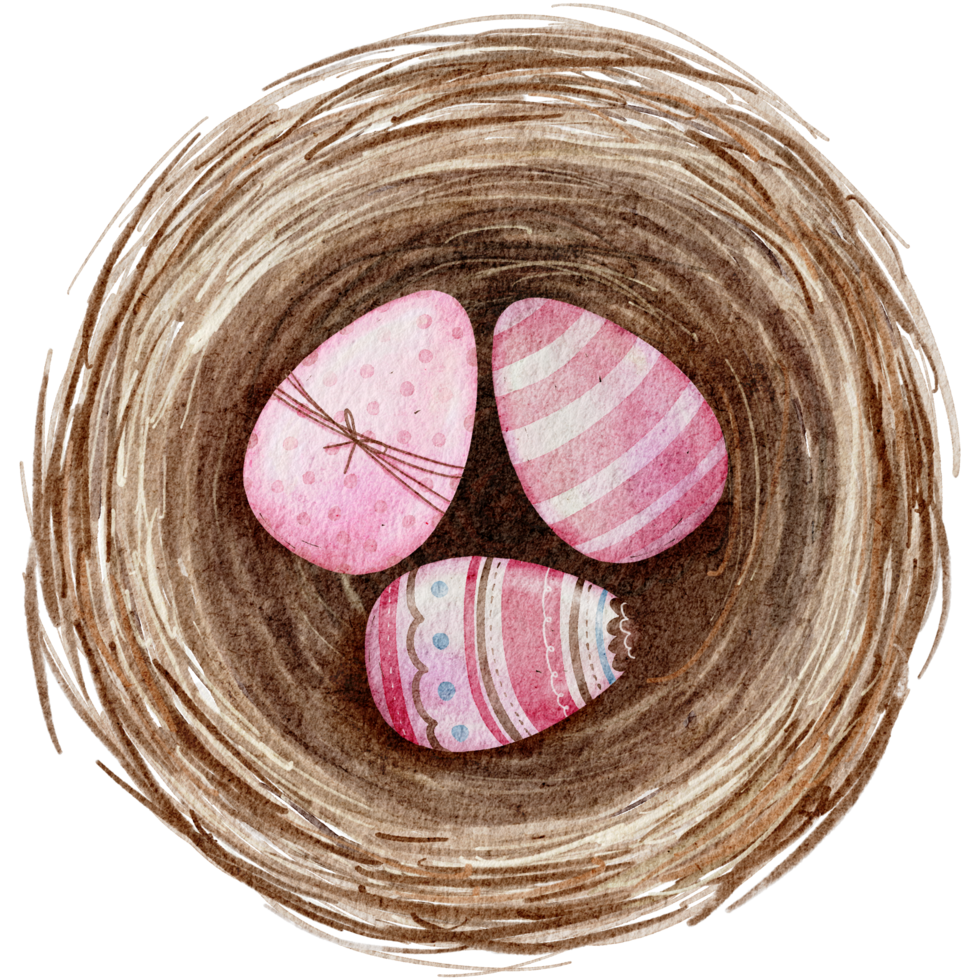 oeufs de pâques dans le nid aquarelle png