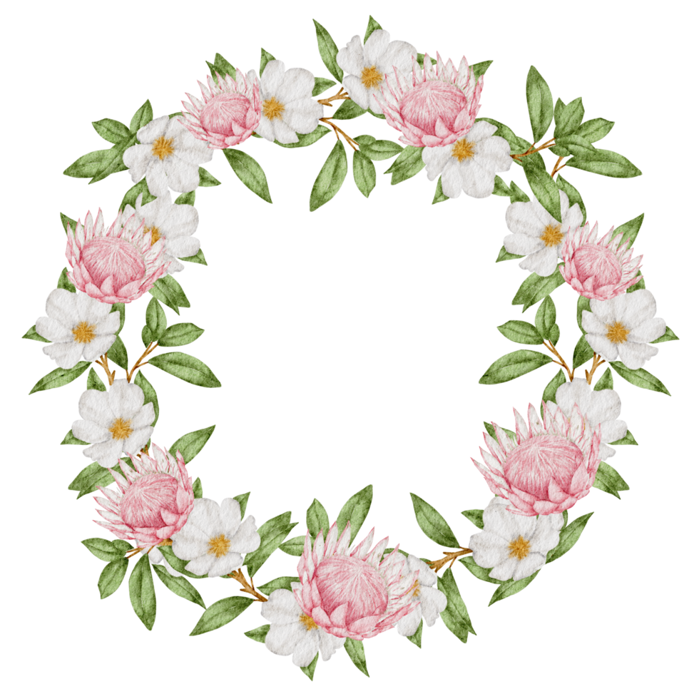 Flower wreath and frame watercolor png