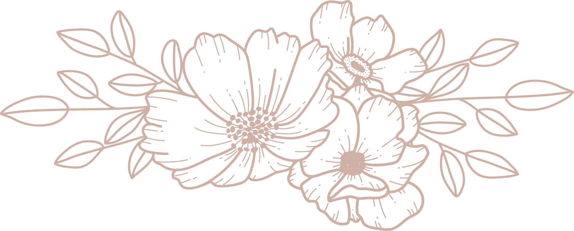 Flower bouquet line art png