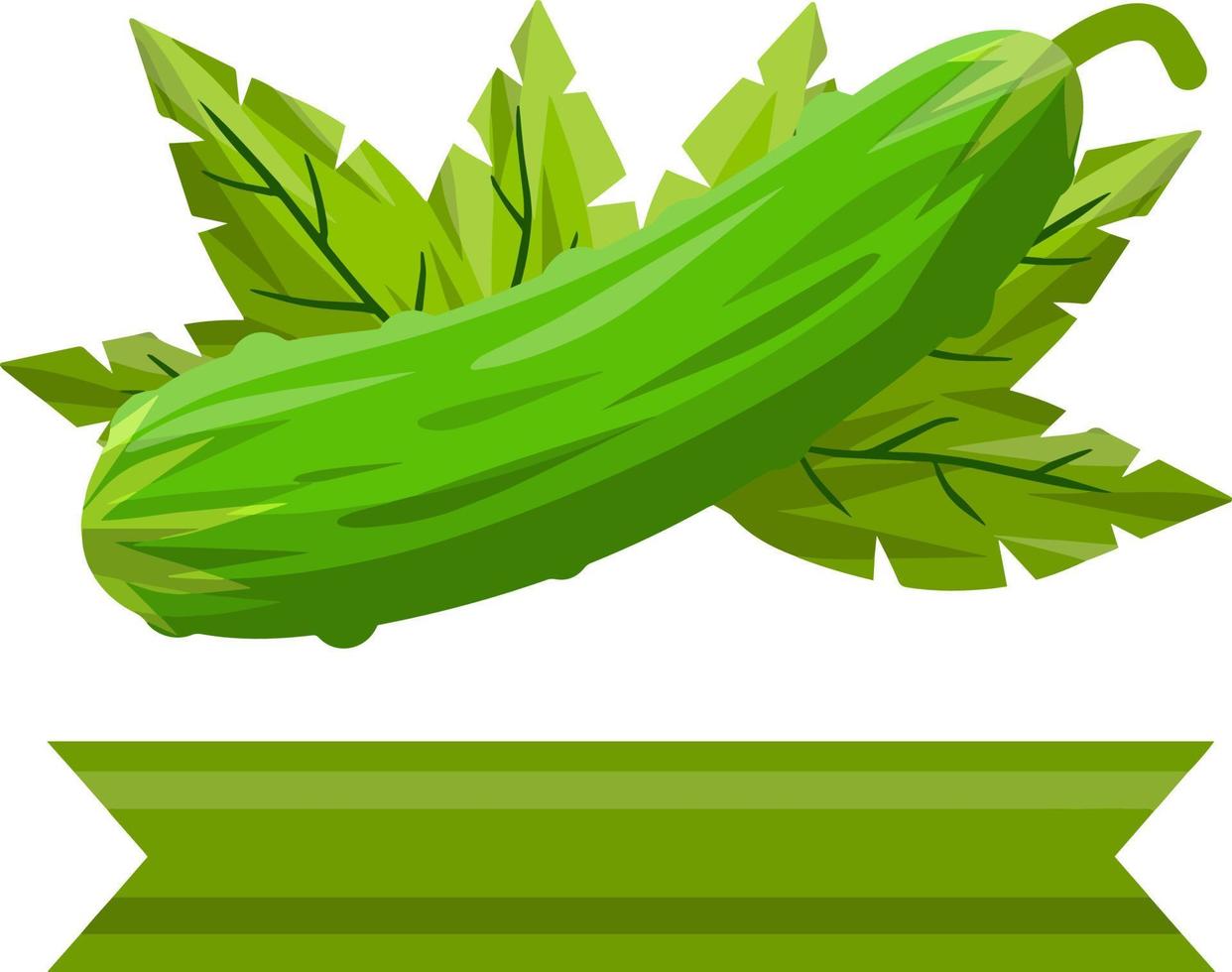 Cucumber. Green fresh vegetable vector