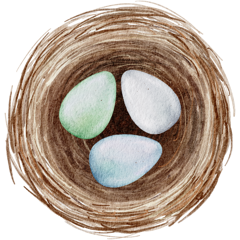 Easter eggs in the nest watercolor png