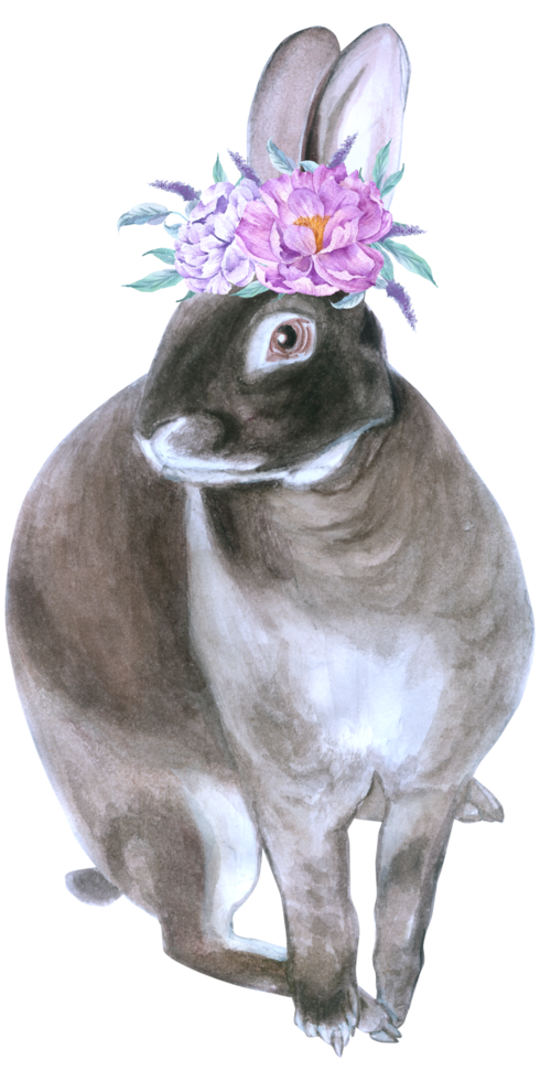 Rabbit Easter animal with flower watercolor png