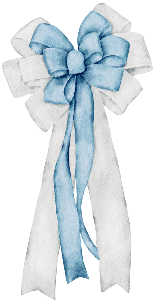 Ribbon bow ornament watercolor clipart png
