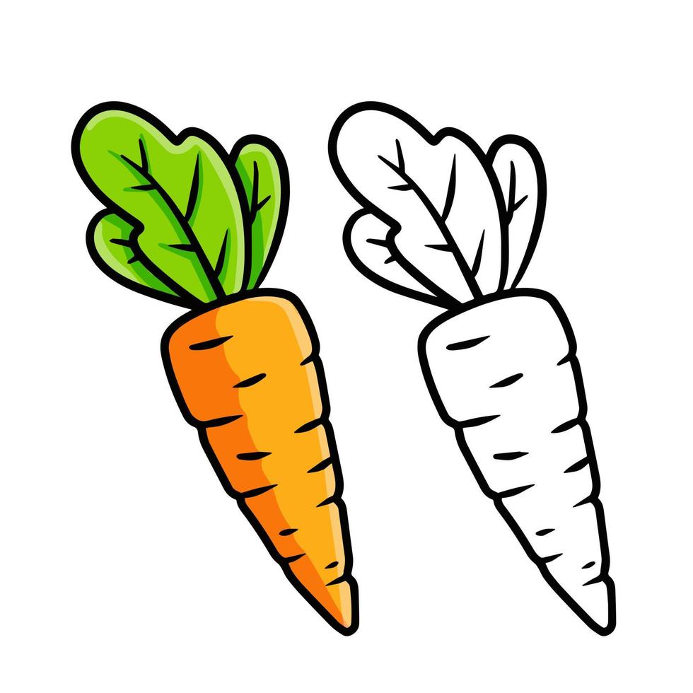 Carrot. Cartoon vegetables. vector