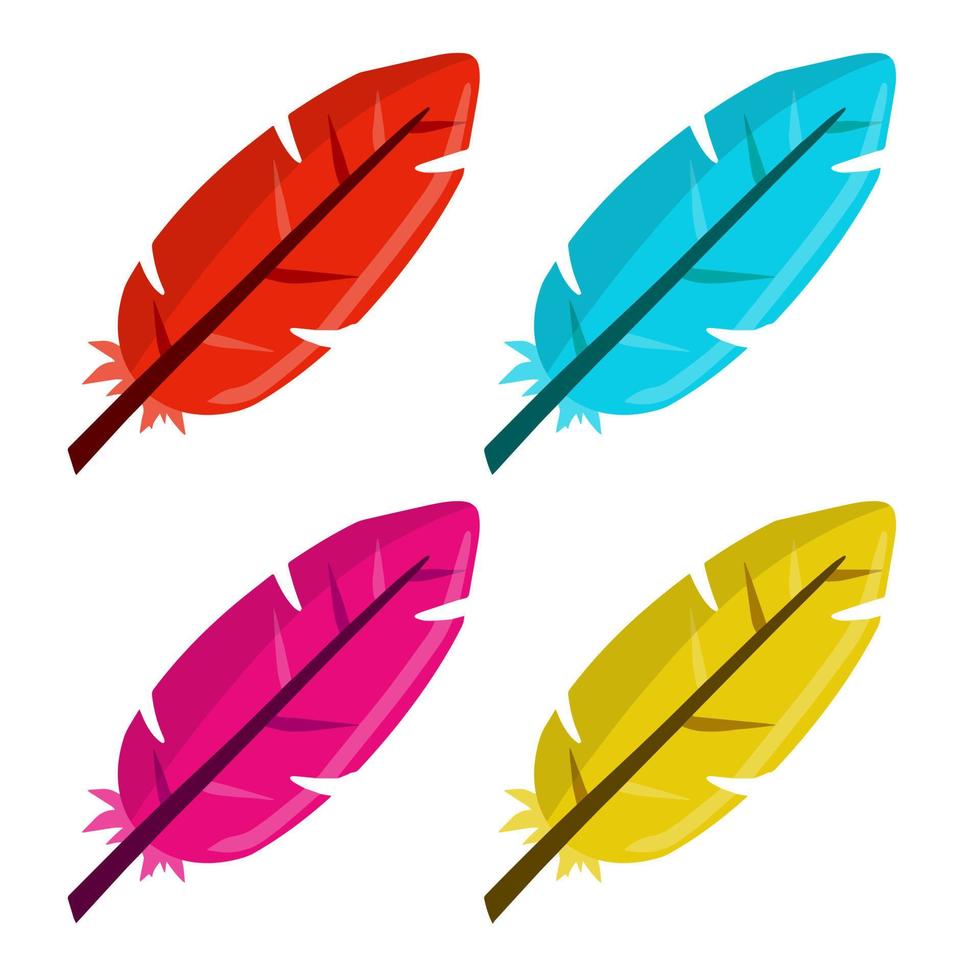 Feather. Red and blue bird element vector