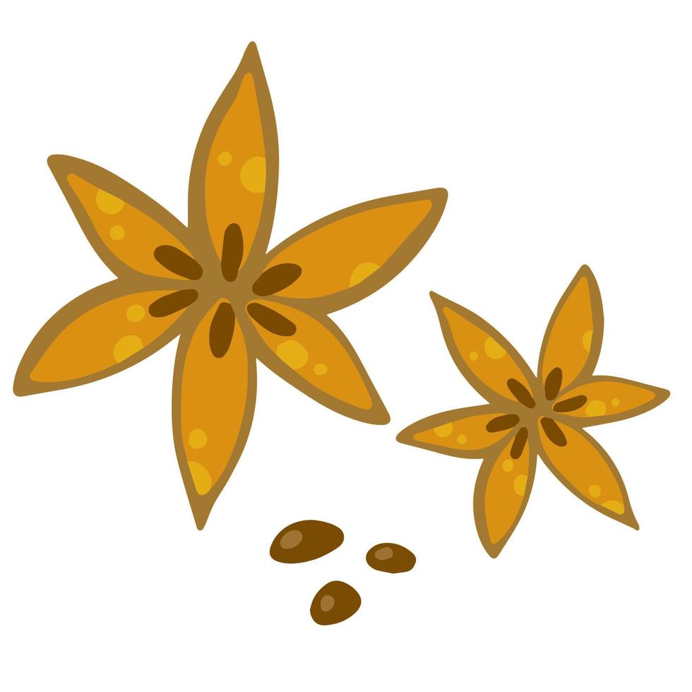 Anise star. Aromatic seasoning. Brown dried food and spice. Flat cartoon isolated on white. vector