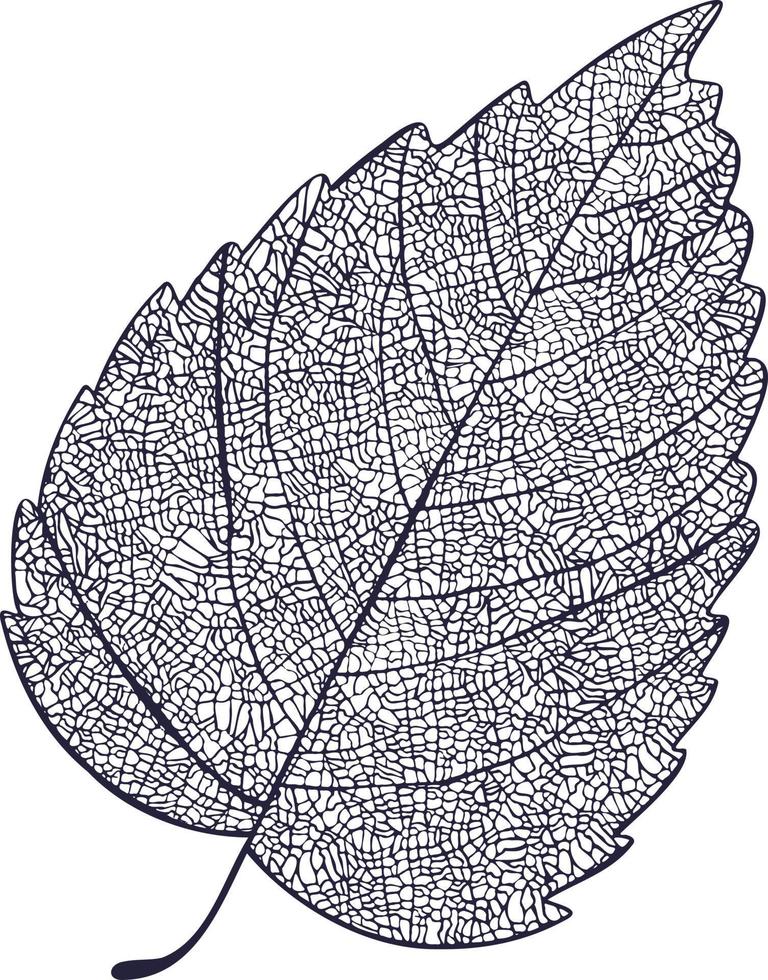 Leaf plant tree line drawing illustration symbol vector