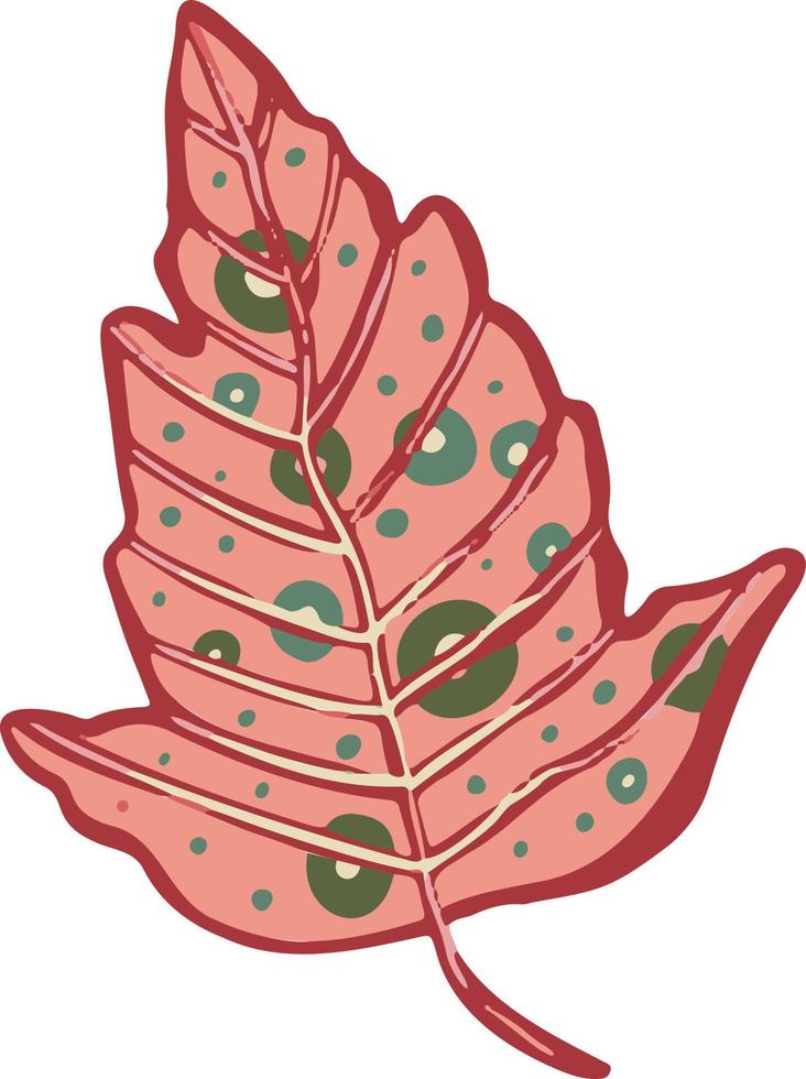 hoja planta árbol colorido dibujo ilustración símbolo vector