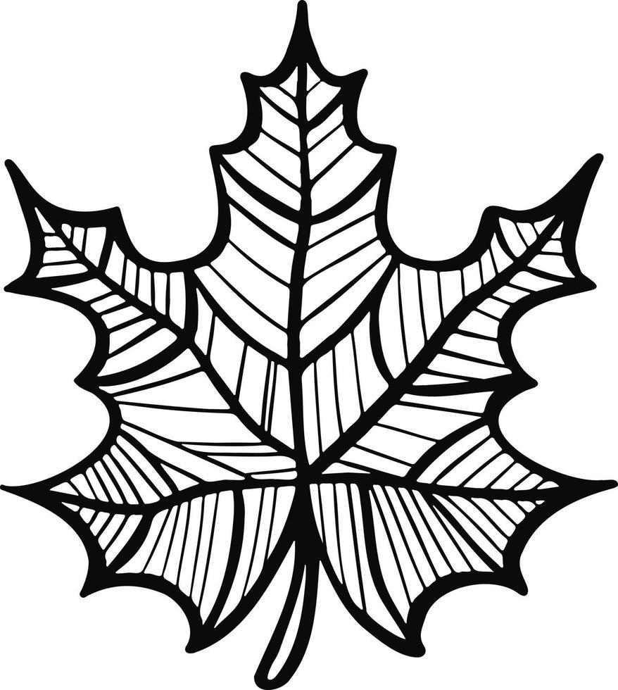 Leaf plant tree line drawing illustration symbol vector