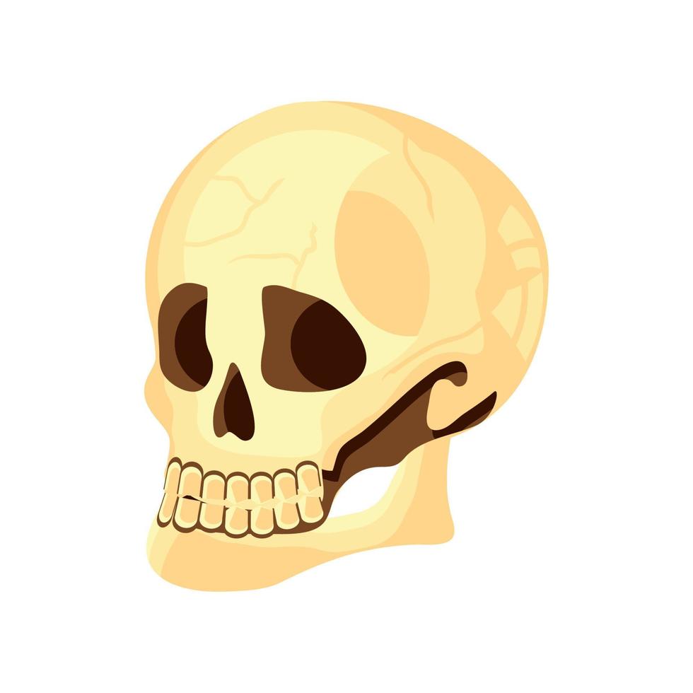 icono de calavera plana vector