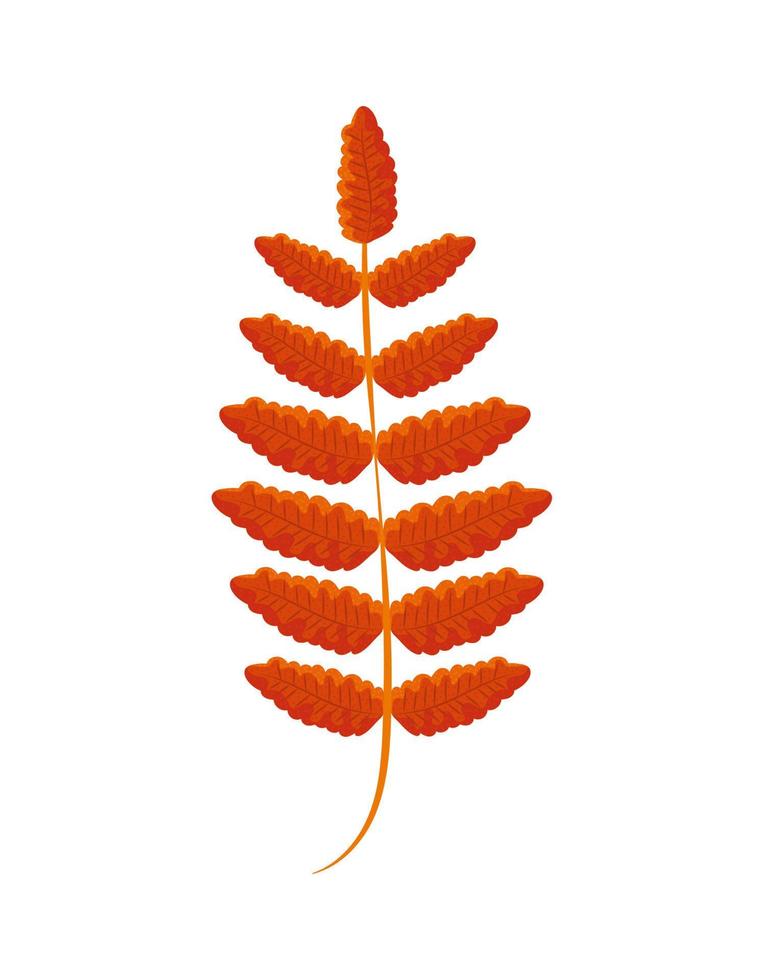 autumn branch leaf vector