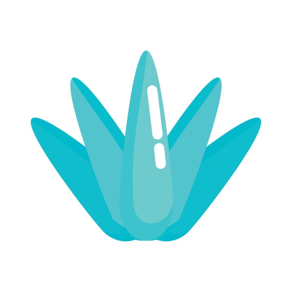 succulent plant icon vector