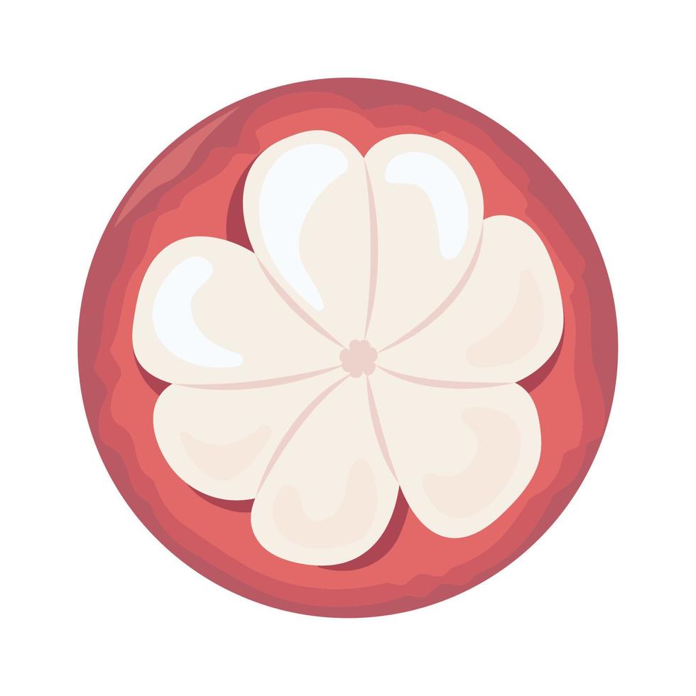 half mangosteen icon vector