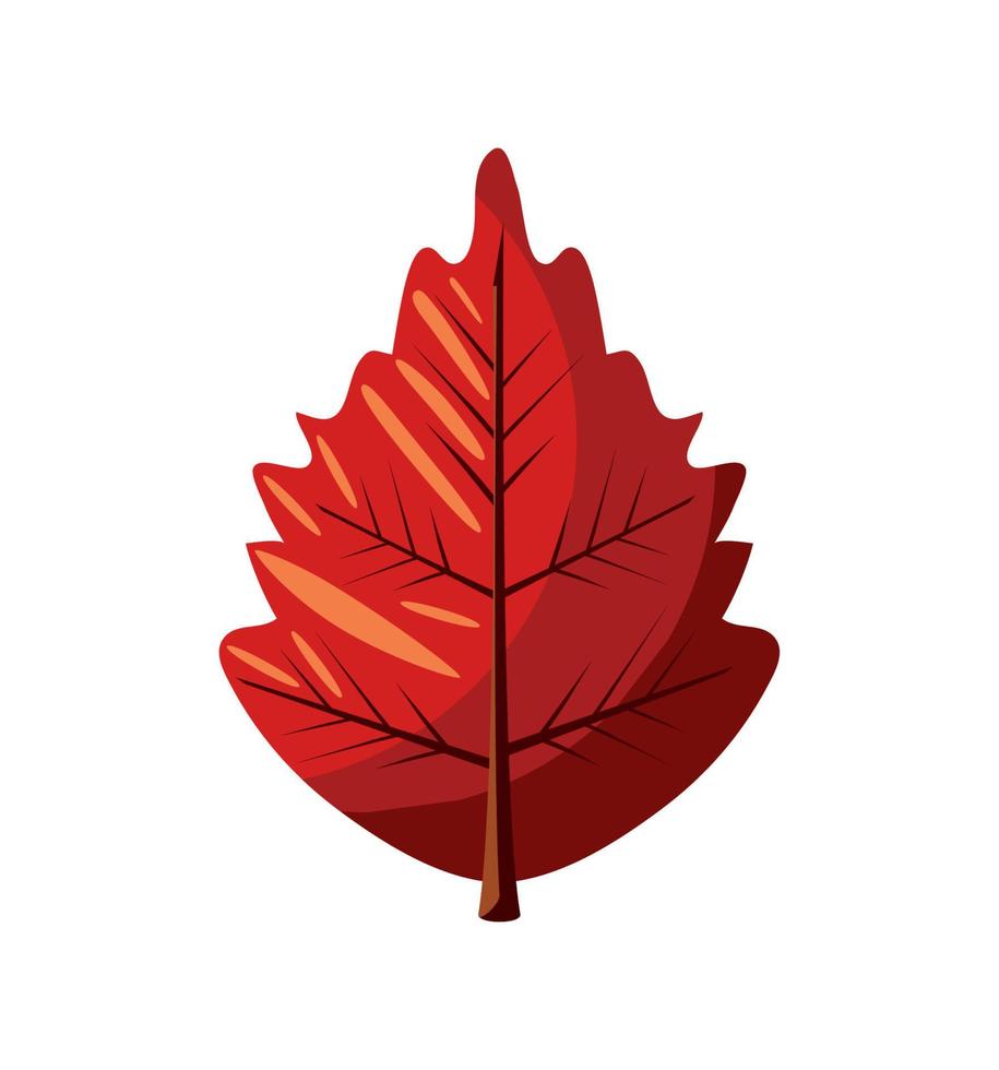 autumn dry leaf vector