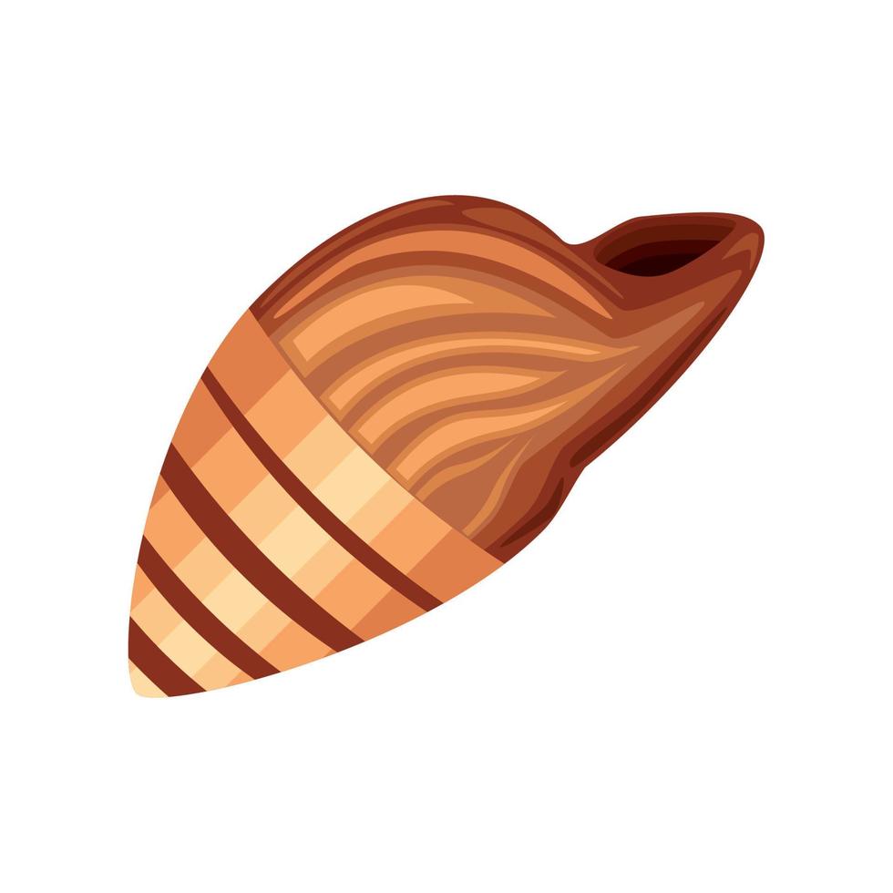 exotic sea shell vector