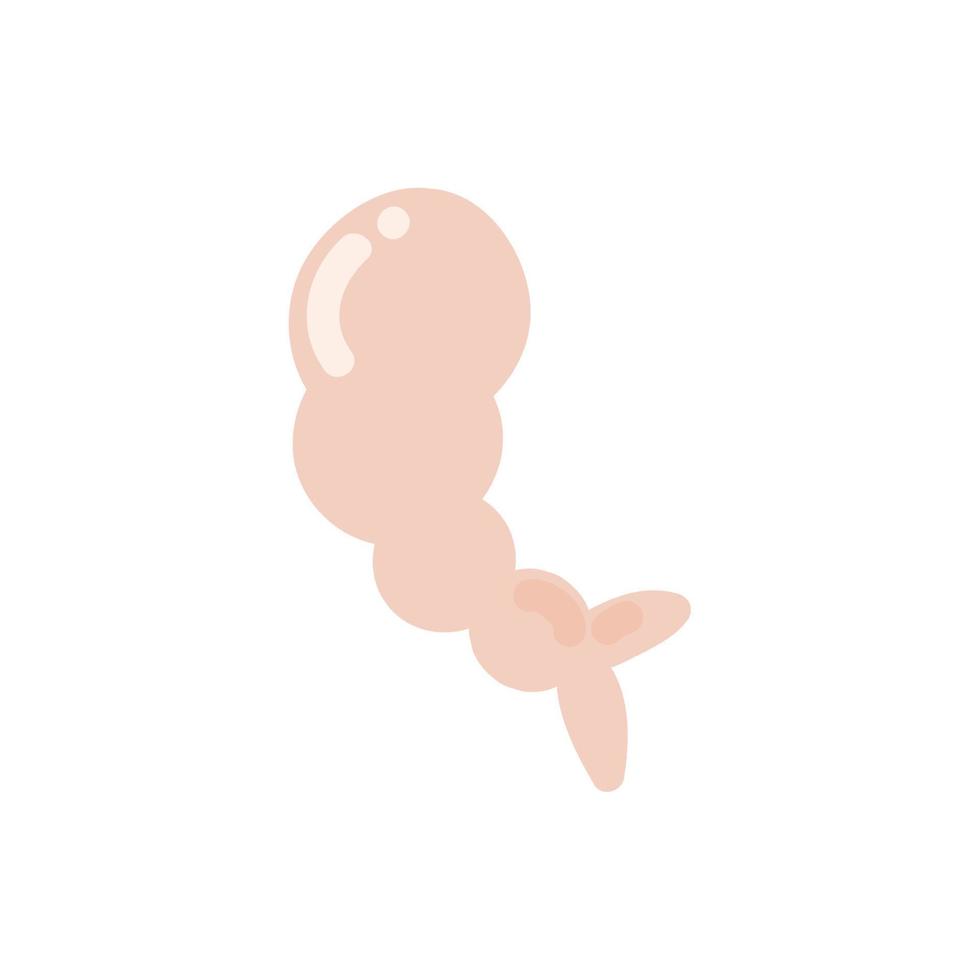 shrimp seafood icon vector