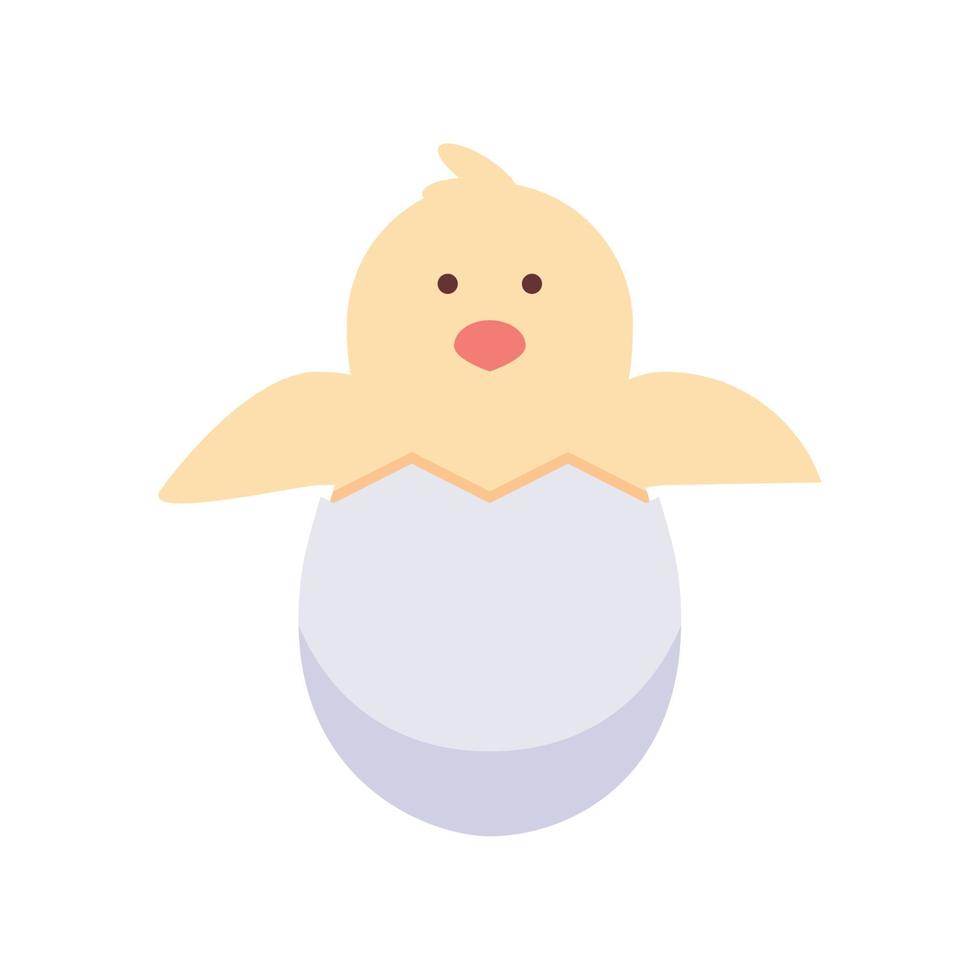 chicken in egg vector