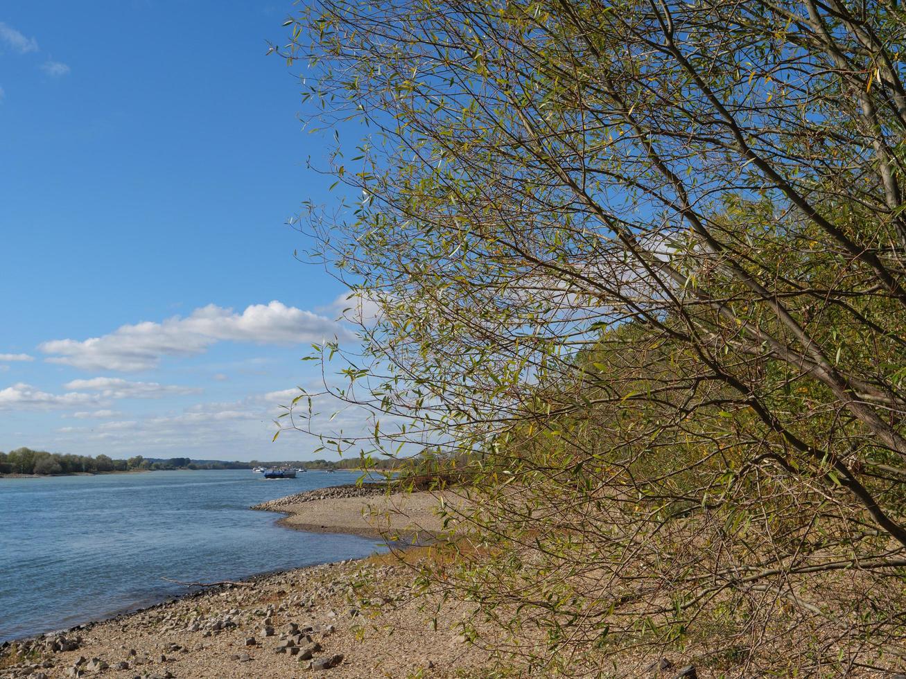 the river rhine near wesel photo