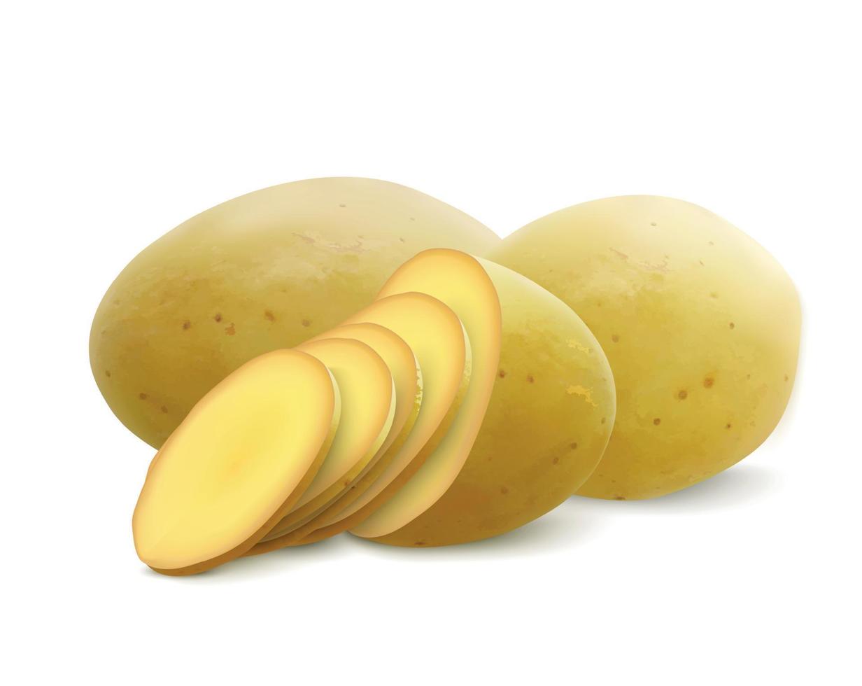 Realistic Sliced Potato Composition vector