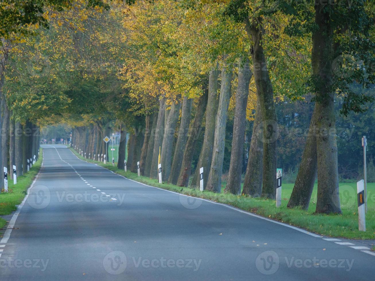 autumn time in westphalia photo