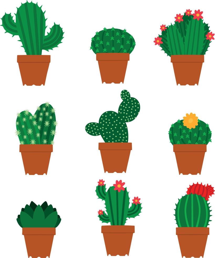 Set of different types of cacti. Vector illustration. Prickly and flowering cacti. Collection of cacti in flower slide isolated on white background. Design element for posters brochures banners