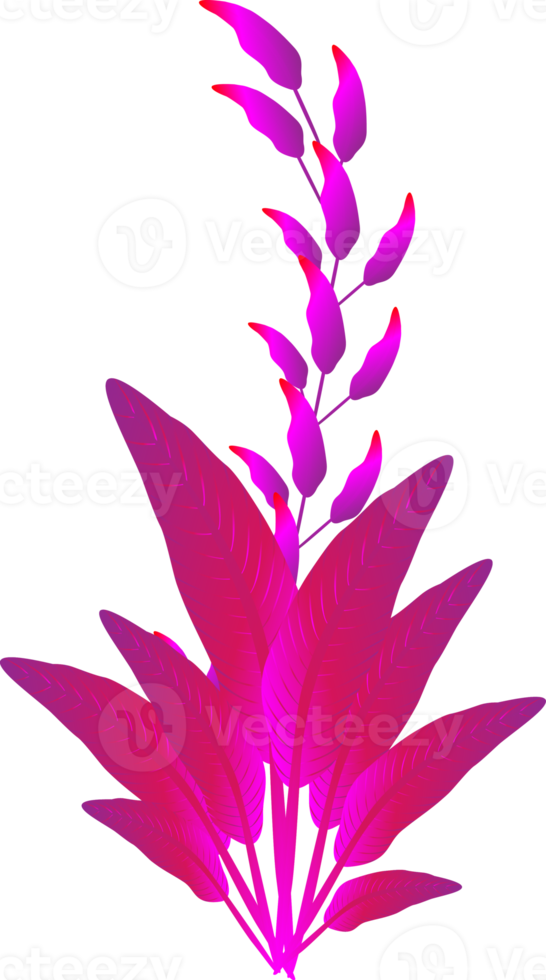 lila Blume Pflanzen verziert Natur Blatt Botanik dekorative Hintergründe Illustration png