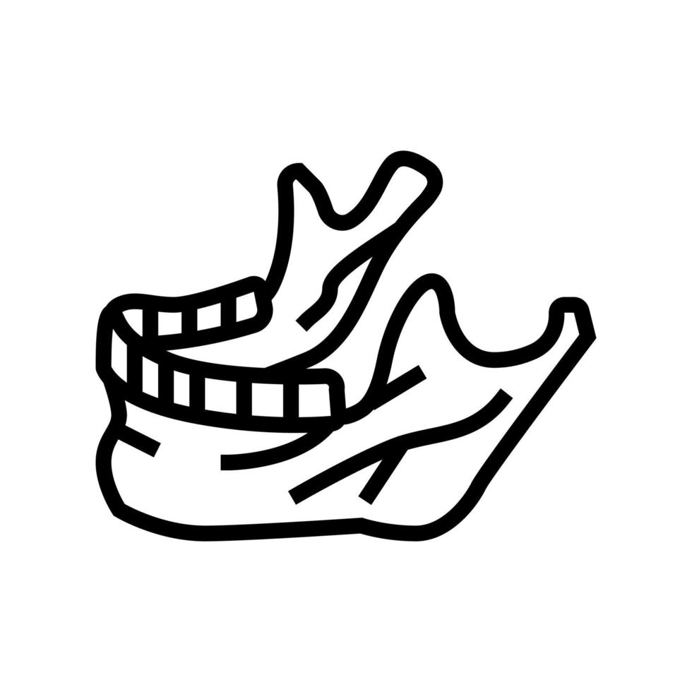 jaw bone line icon vector illustration