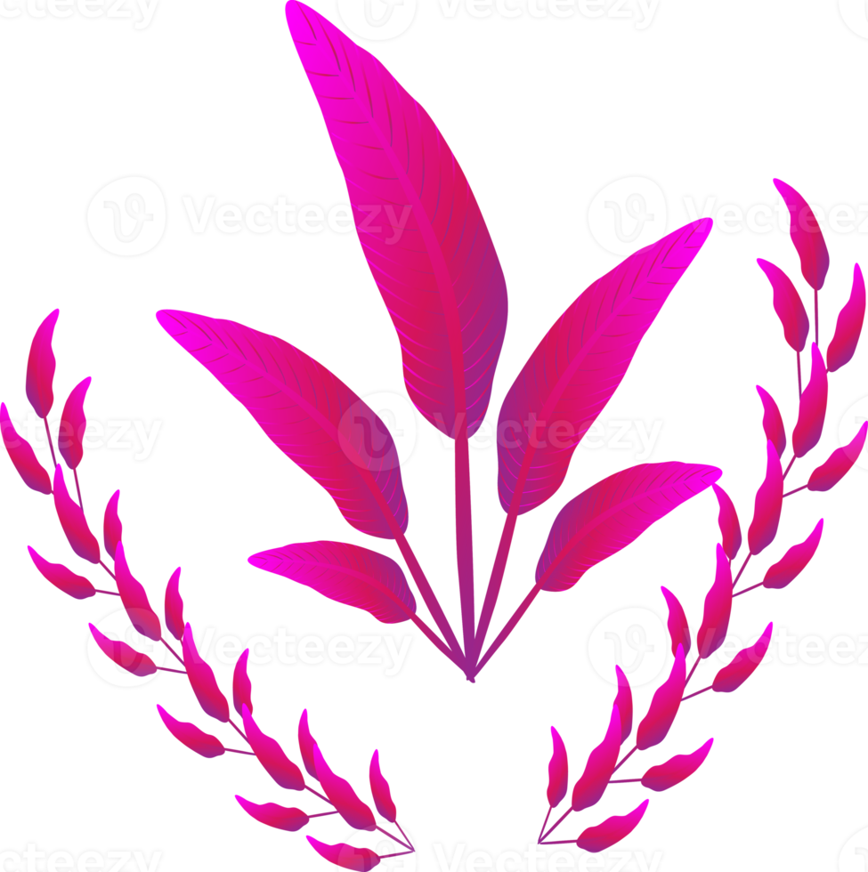 Purple flower plants ornate nature leaf botany decorative backgrounds illustration png