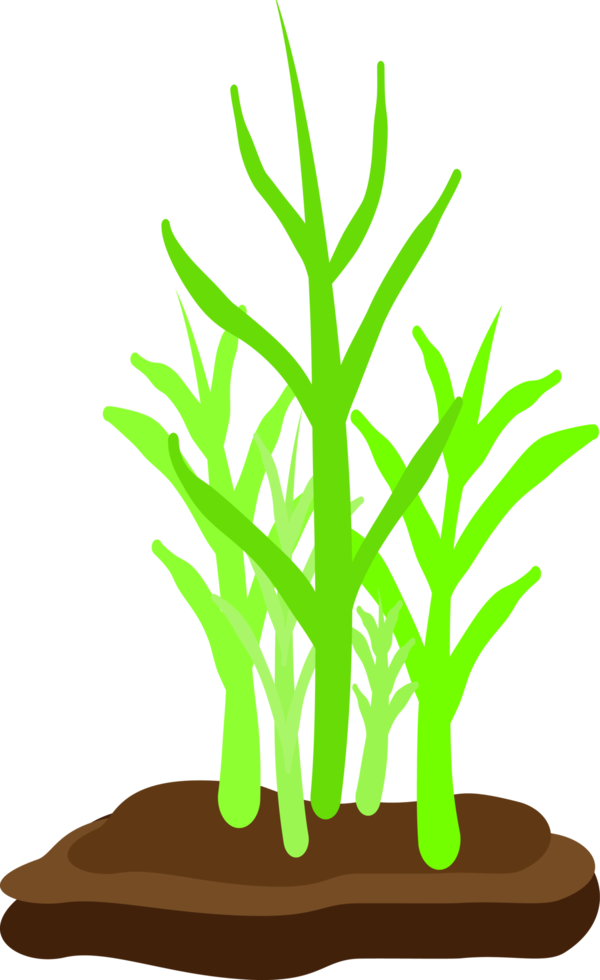 fiore foglia muschio albero sott'acqua mare acquario vita stagione estiva astratto sfondo illustrazione png