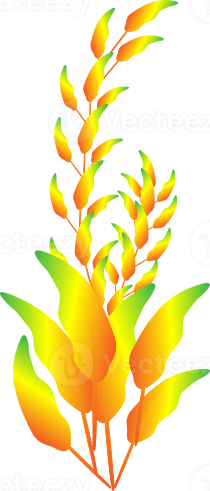 Flower houseplant leaf golden luxury elegance ornament decoration graphic design illustration png