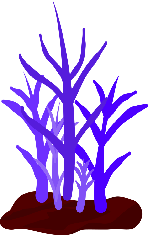 fiore foglia muschio albero sott'acqua mare acquario vita stagione estiva astratto sfondo illustrazione png