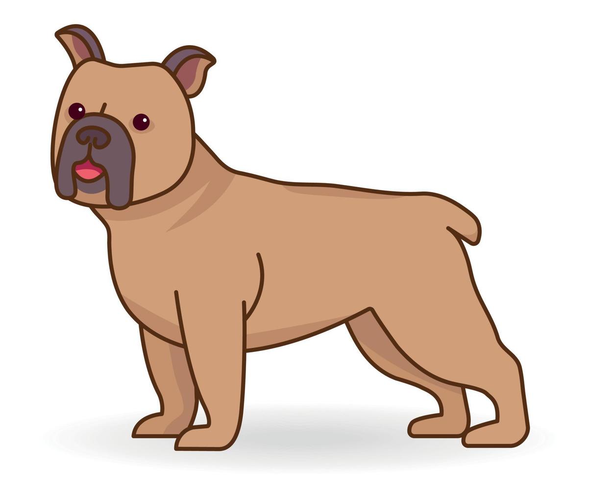 French Bulldog or Frenchie standing in profile. Funny dog breed isolated on white background. Colorful vector illustration in flat cartoon style