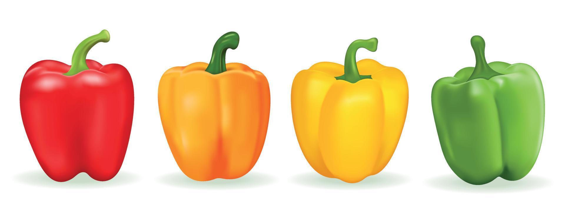 Vector Set of Colored Yellow, Green, Orange and Red Sweet Bulgarian Bell Peppers, Paprika Isolated White. Realistic 10318612 Vector Art at Vecteezy
