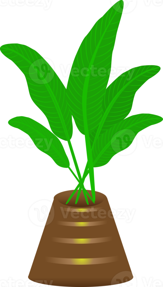 krukväxt blomkruka naturliga blad tillväxt inomhus dekoration grafisk design illustration png