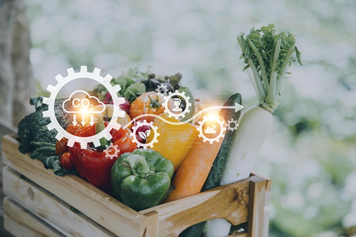 Futuristic businessman farms vegetables and crops using modern AI technology using mobile phones, temperature and humidity sensors, water tracking, climate control, holographic data data icons. photo