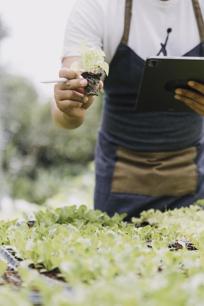 female farmer working early on farm holding wood basket of fresh vegetables and tablet photo