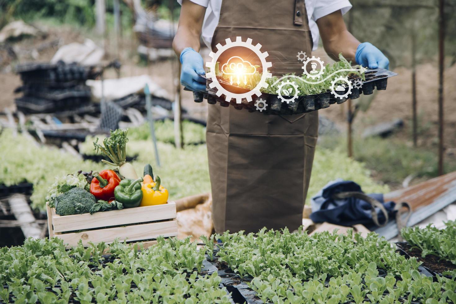 Futuristic businessman farms vegetables and crops using modern AI technology using mobile phones, temperature and humidity sensors, water tracking, climate control, holographic data data icons. photo